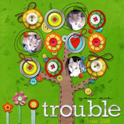 Trouble