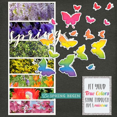 Mar 4 - buds and blooms