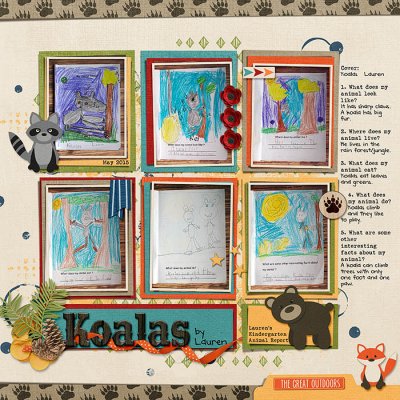 Koalas by Lauren