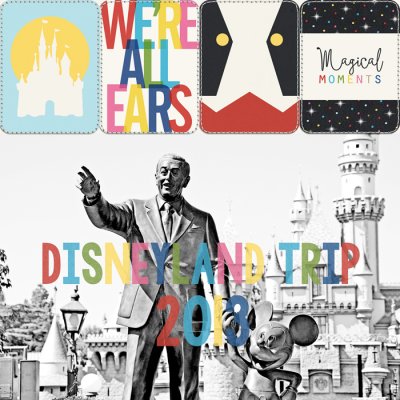 Disneyland Book Cover