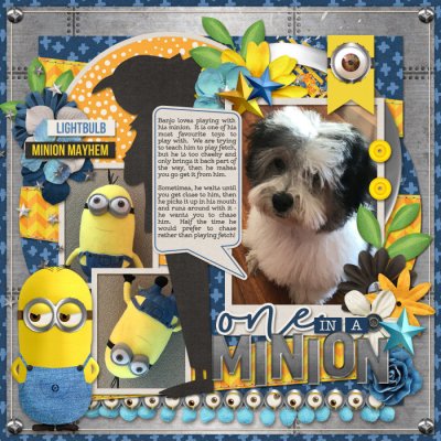 One in a Minion