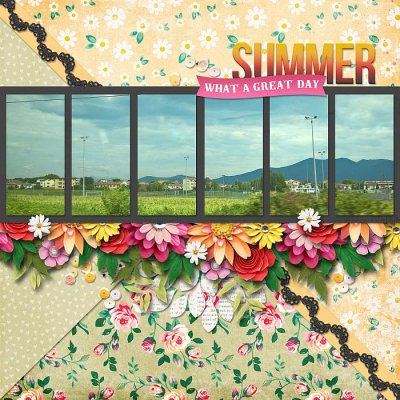 Summer morning
