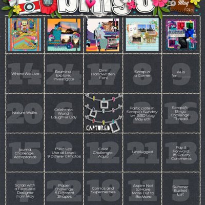 May 2018 Bingo Card