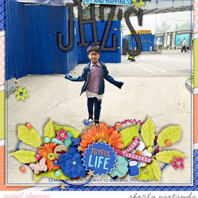 joyful life