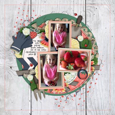 Strawberries