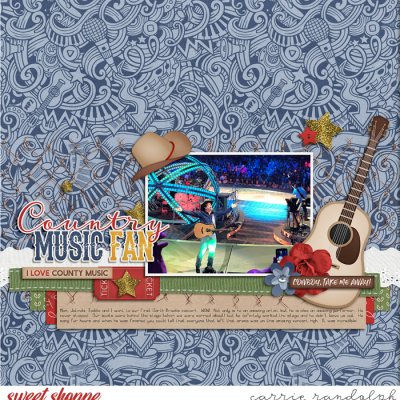 Country Music Fan