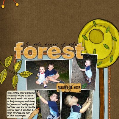 In the Heart of the Forest