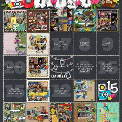 May Bingo