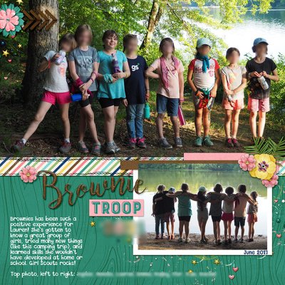 Brownie Troop ##