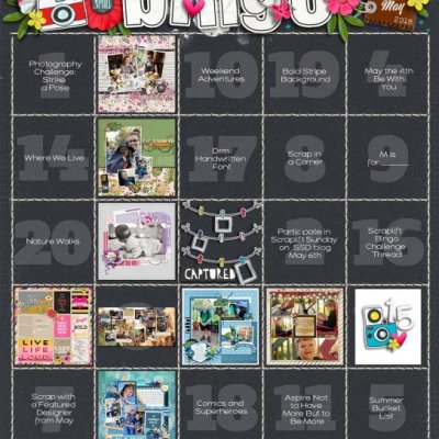 May Bingo Card