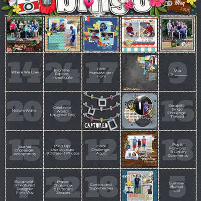 May Bingo Card