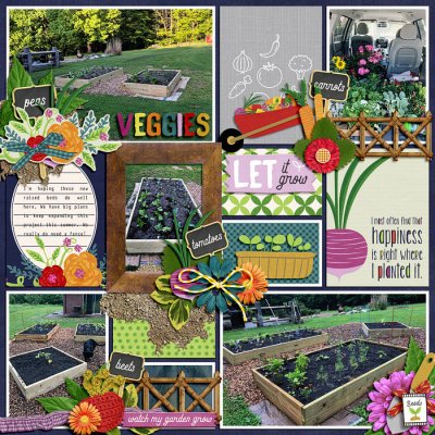 Veggie Garden