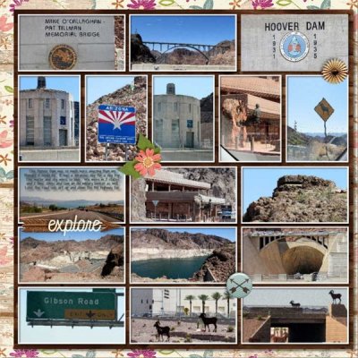 11_photos