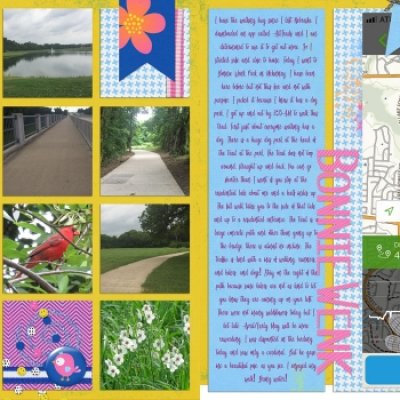 Bonnie Wenk June 2018