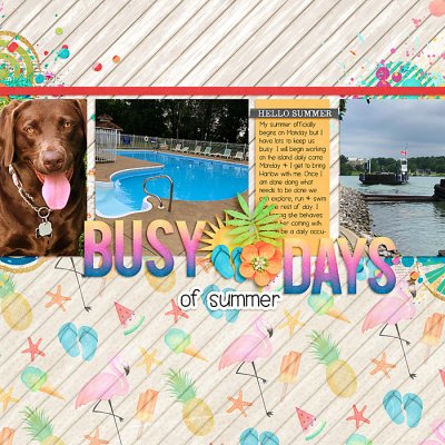 Busy Summer Days