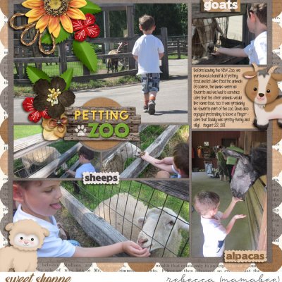 petting zoo