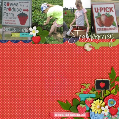 U Pick Strawberries