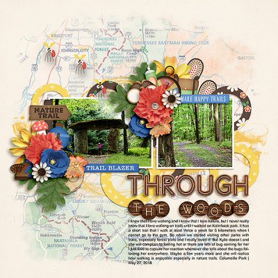 Through The Woods