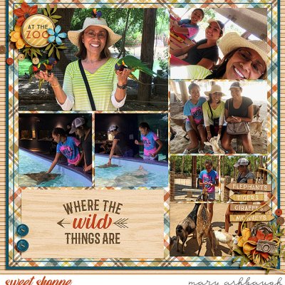Day At Zoo