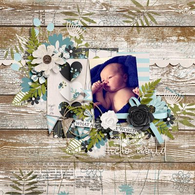 Hello World