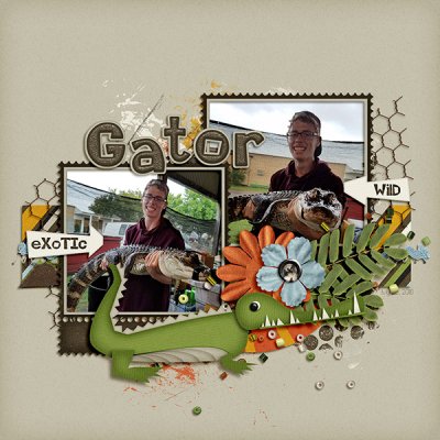 #5 Animal Encounters - Gator