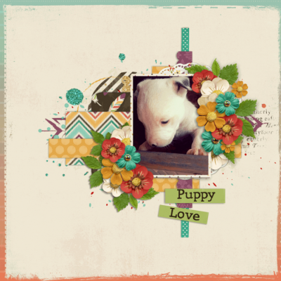 Favorite photo app-3 week old puppy