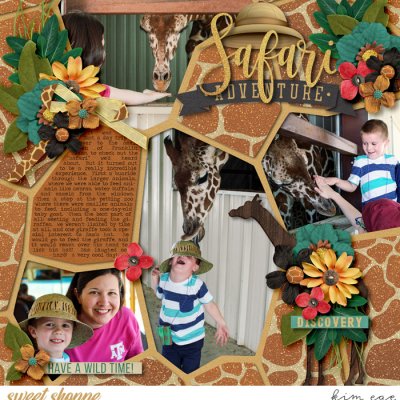 Safari Advventure