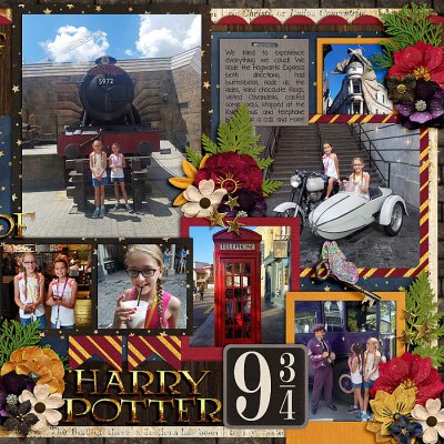 Wizarding World of Harry Potter