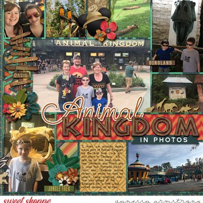 Animal Kingdom page 1