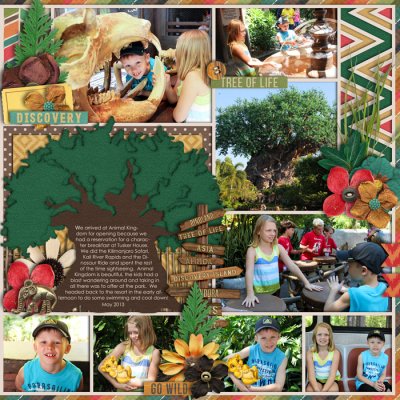 Animal Kingdom in Photos (right)
