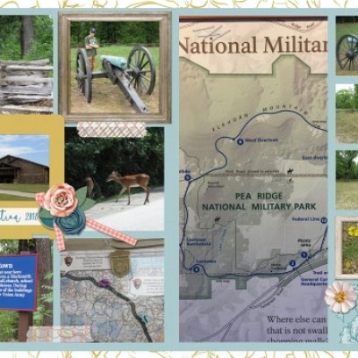 Pea Ridge July 2018