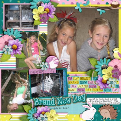 Bunny New Day