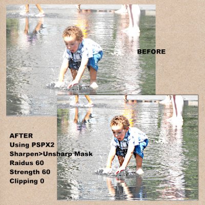 Shutterbug Shakedown #24