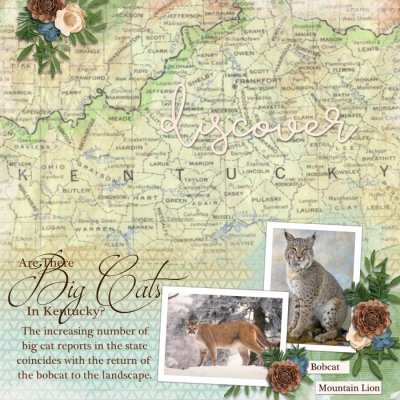 Big Cats in Kentucky 1