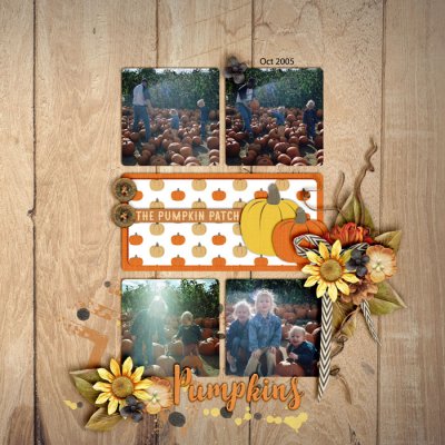 Pumpkin Patch