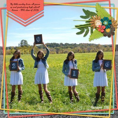 2015_oct_ariana_class_of_2016_web_dsi_cheeky_monkey