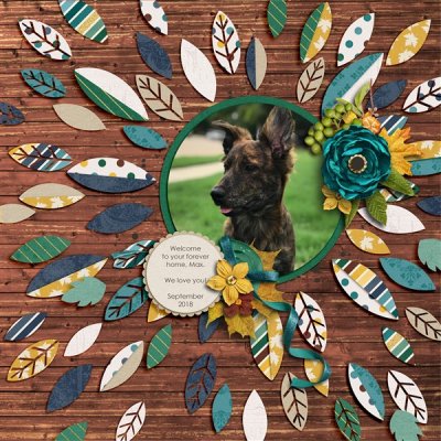 Max - Oct Bingo - #24