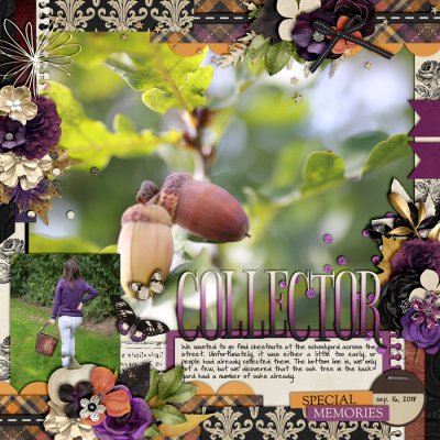 Collector