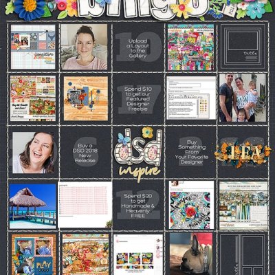 DSD bingo