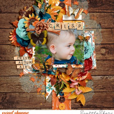 Crisp Autumn Air