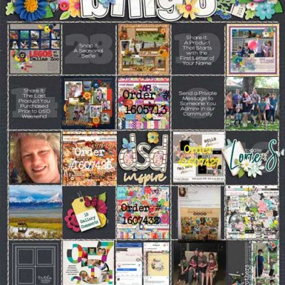 DSD Bingo Challenge 2018 Partial