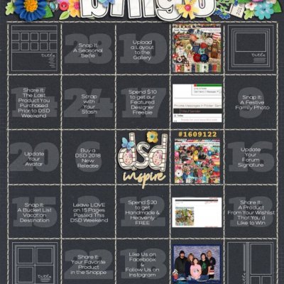 2018_DSDbingo
