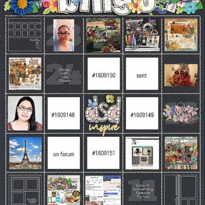 2018 DSD Bingo