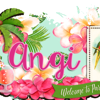 DSD Siggy challenge