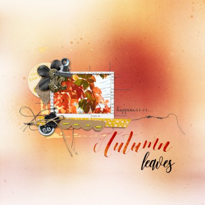 Oct 20 - autumn leaves