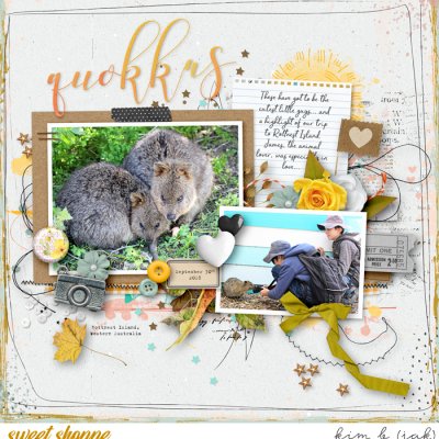 Quokkas