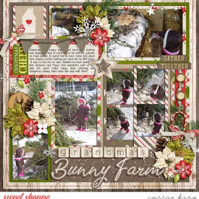 Grandma's Bunny Farm