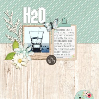 H2O