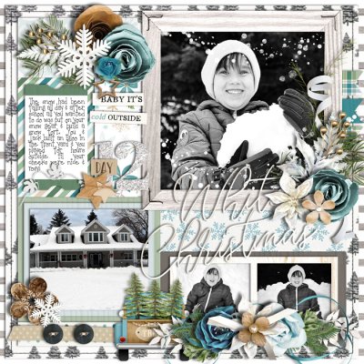 White Christmas Day 12