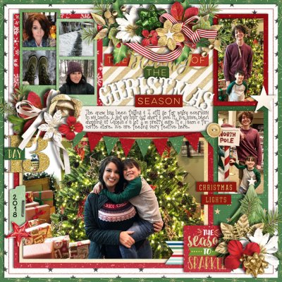 Beauty of the Christmas Season Day 13